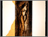 [thumbnail of 1995kramerp.jpg]