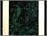[thumbnail of 1994aguillemetten.jpg]