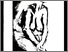 [thumbnail of 2011avaliquettem.jpg]