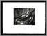 [thumbnail of 2011haubinf.jpg]