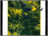 [thumbnail of 1992hmathonlh.jpg]