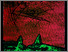 [thumbnail of 1991hlarocquemc.jpg]