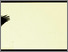 [thumbnail of 2012aparadisleblanca1.jpg]