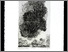 [thumbnail of 1990alamyl.jpg]