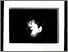[thumbnail of 1990er.jpg]