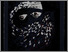 [thumbnail of 1990hplantec.JPG]