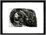 [thumbnail of 1989alefebvres.jpg]
