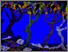 [thumbnail of 1989hbaroleta.jpg]