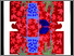 [thumbnail of 1989hpoulinc.jpg]