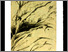 [thumbnail of 2011hchauvettec.jpg]