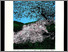 [thumbnail of 1988avallièresg.jpg]