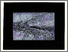 [thumbnail of 1988alamyl.jpg]