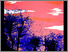 [thumbnail of 1987atousignants.jpg]