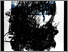 [thumbnail of 1987Xaubryn.jpg]