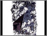 [thumbnail of 1986aparél.jpg]