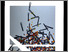 [thumbnail of 1985adrolets.jpg]