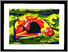 [thumbnail of 1985ahamelin.jpg]