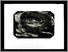 [thumbnail of 1985hbm.jpg]
