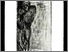 [thumbnail of 1985hdevosty.jpg]