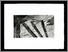[thumbnail of 1985hl.jpg]