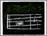 [thumbnail of 1985Xm.jpg]