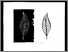 [thumbnail of 2010aleblancp.jpg]
