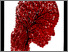 [thumbnail of 2010alevasseura.jpg]