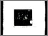 [thumbnail of 2010hleblanca.jpg]