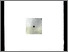 [thumbnail of 2010hmarcottem.jpg]