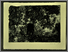 [thumbnail of 2010hrossm.jpg]