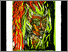 [thumbnail of 2010hschwartzl.jpg]