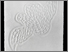 [thumbnail of 2009aauclairc.jpg]
