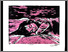 [thumbnail of 2012hgravela.jpg]