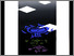 [thumbnail of 2009Xbasilemartels.jpg]