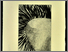 [thumbnail of 2008alemayo.jpg]