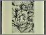 [thumbnail of 2008amoreaul.jpg]