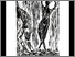 [thumbnail of 2008hricharda.jpg]