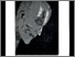 [thumbnail of 2008hsavardk.jpg]