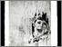 [thumbnail of 2012hlacroixa.jpg]