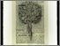 [thumbnail of 2007avandervkenn.jpg]