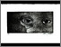 [thumbnail of 2012hlamberta.jpg]