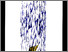 [thumbnail of 2012hlamontagnea.jpg]