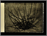 [thumbnail of 2006hpremontm4.jpg]