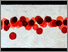 [thumbnail of 2006hcrevecoeurk.jpg]