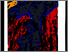 [thumbnail of 2005abarabel.jpg]