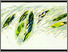 [thumbnail of 2005abeaudoina.jpg]