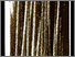 [thumbnail of 2005adionneg.jpg]