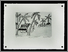 [thumbnail of 2005astpierrem.jpg]