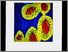 [thumbnail of 2005astyvesm.jpg]