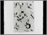 [thumbnail of 2004adestroismaisonsa.jpg]